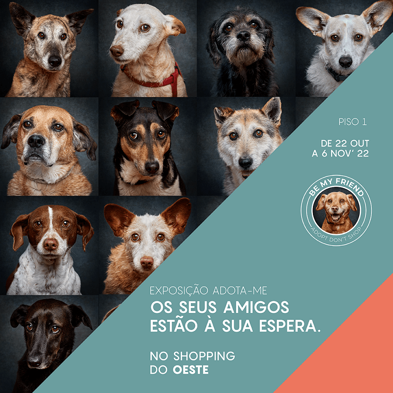 Exposição fotográfica em parceria com o projeto Be My Friend