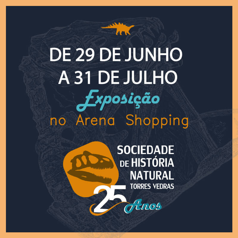 Viagem até à era dos dinossauros